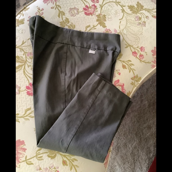 Alfani Petite capris grey/greenish size 6P. Stretchy silver design on fr… - Picture 1 of 10